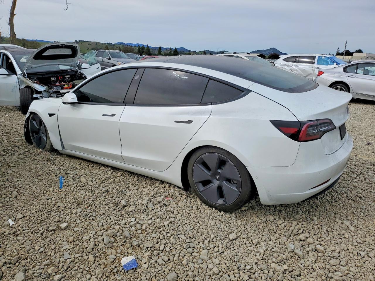 2021 TESLA MODEL 3 photo 3