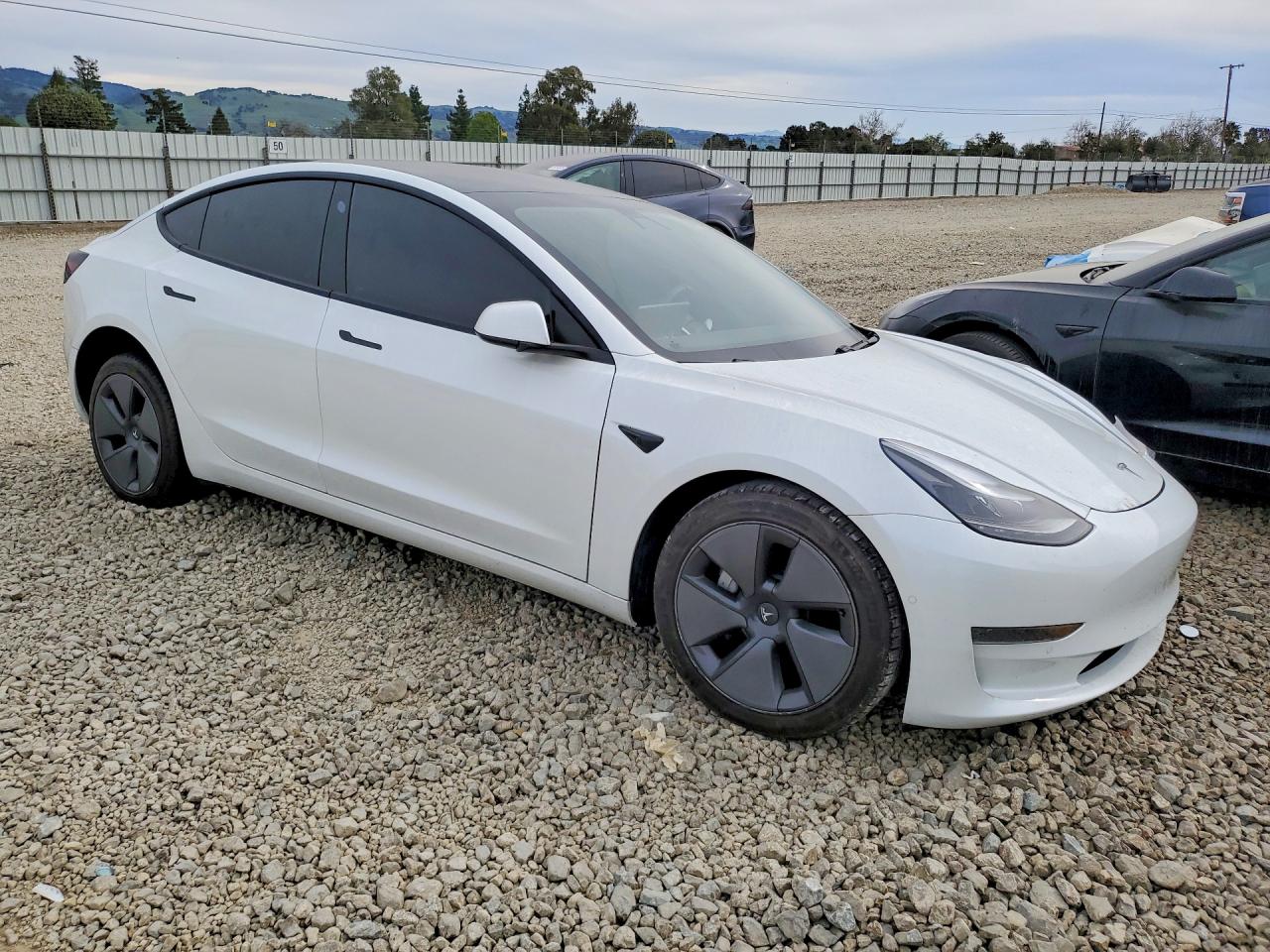 2021 TESLA MODEL 3 photo 7