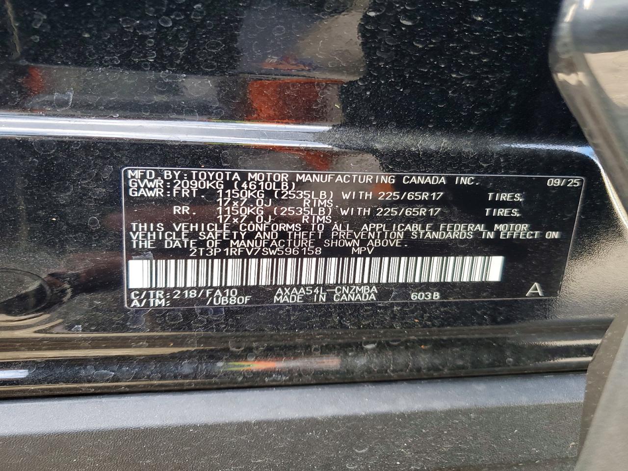 2025 TOYOTA RAV4 XLE photo 14