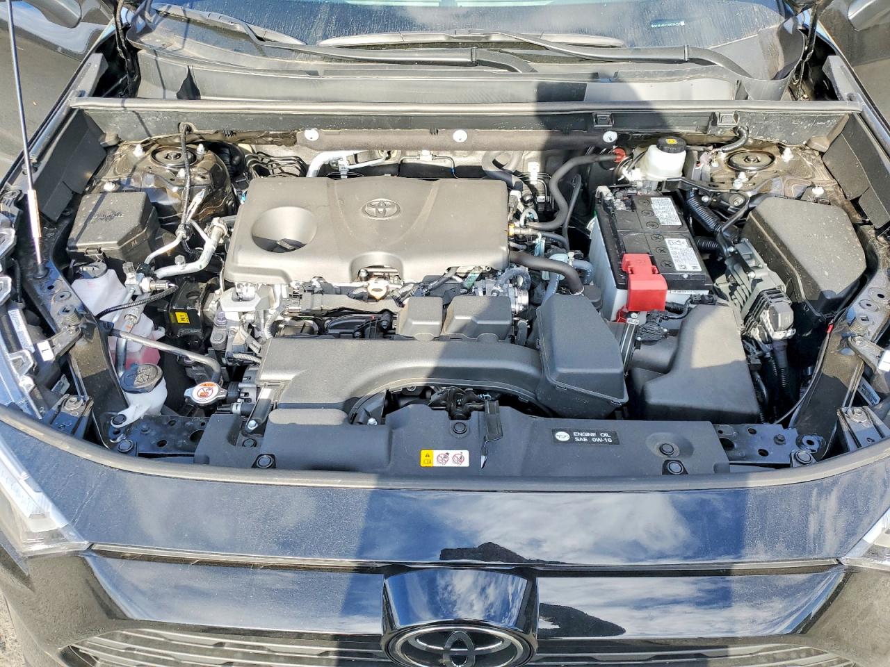 2025 TOYOTA RAV4 XLE photo 12