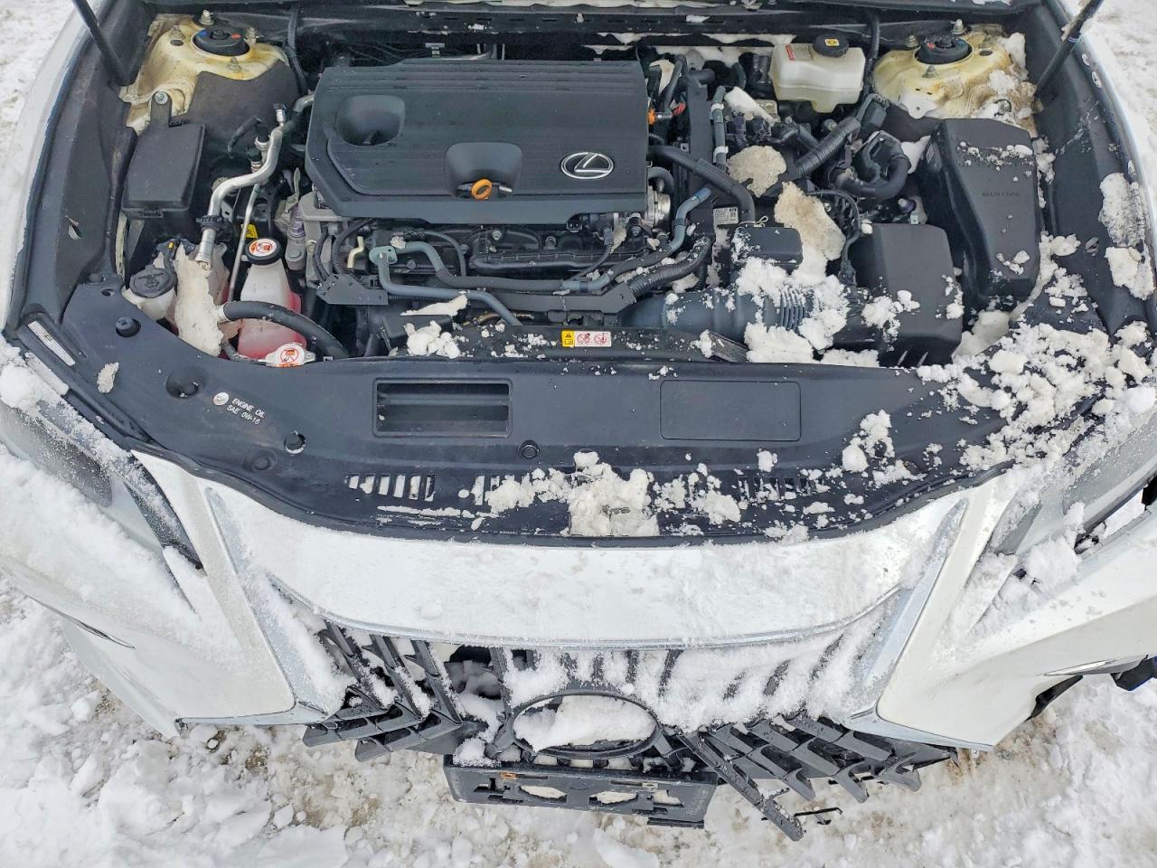 2024 LEXUS ES 300H F SPORT HANDLING photo 11