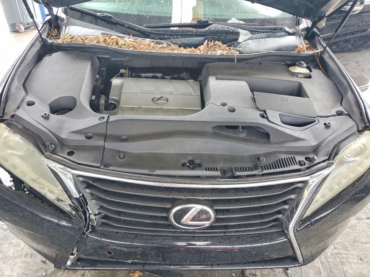 2013 LEXUS RX 350 photo 11