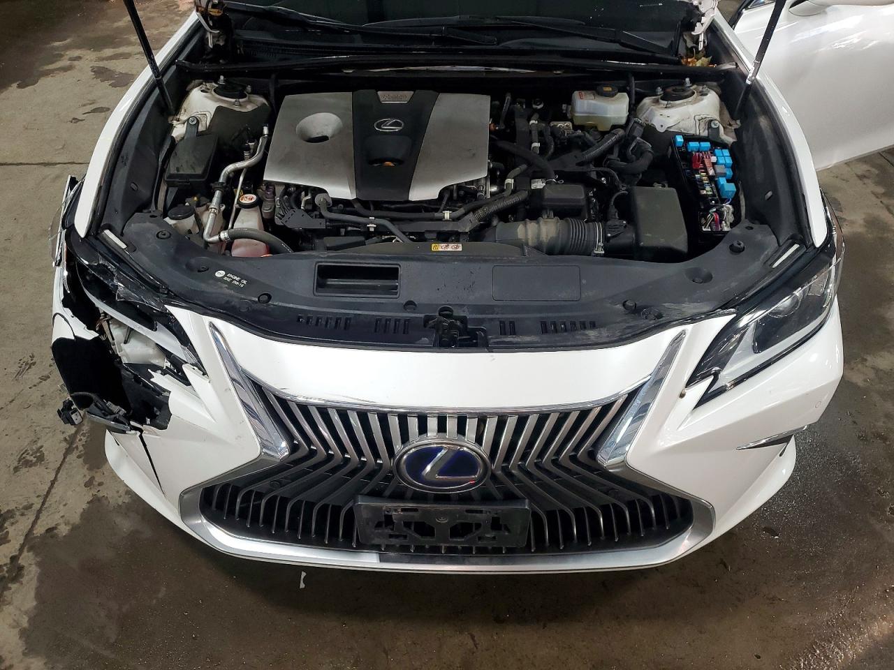 2020 LEXUS ES 300H photo 11