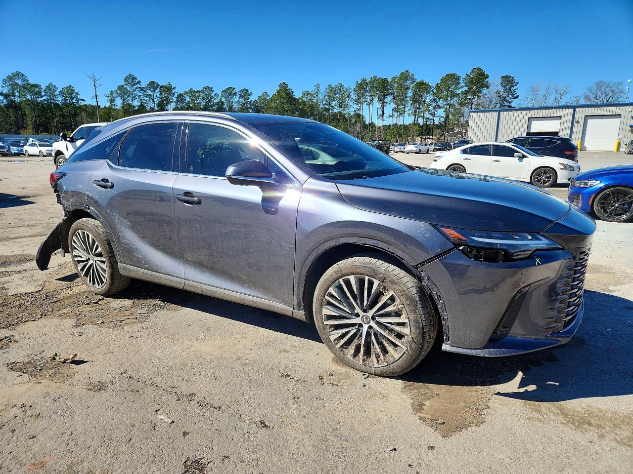 2026 LEXUS RX 350 PREMIUM photo 10