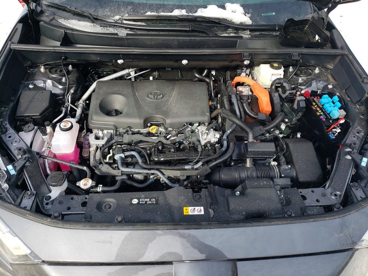 2025 TOYOTA RAV4 XLE photo 12