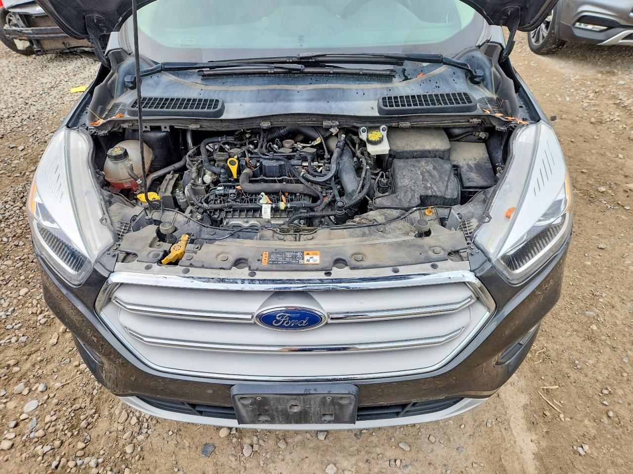 2019 FORD ESCAPE SEL photo 11