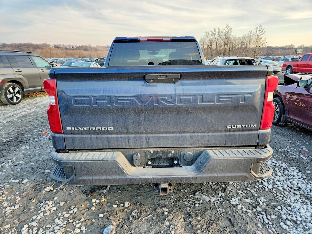 2019 CHEVROLET SILVERADO K1500 CUSTOM photo 6