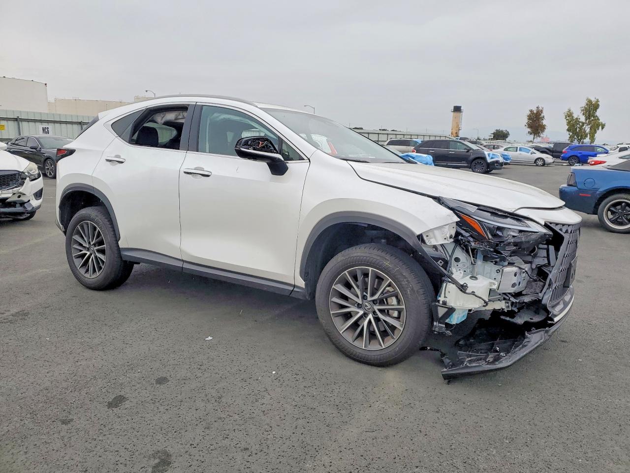 2025 LEXUS NX 350H BASE photo 7