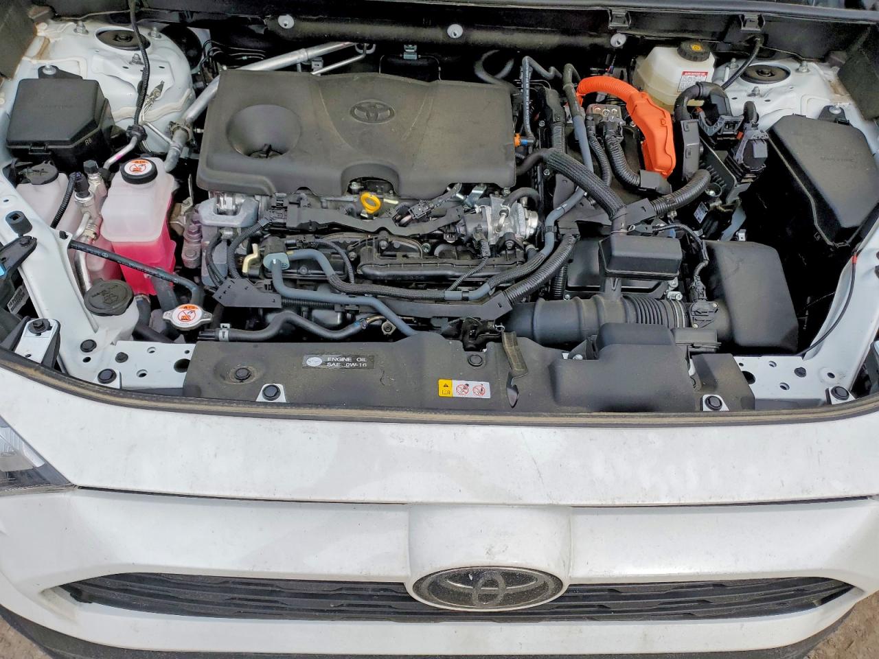 2025 TOYOTA RAV4 XLE photo 12