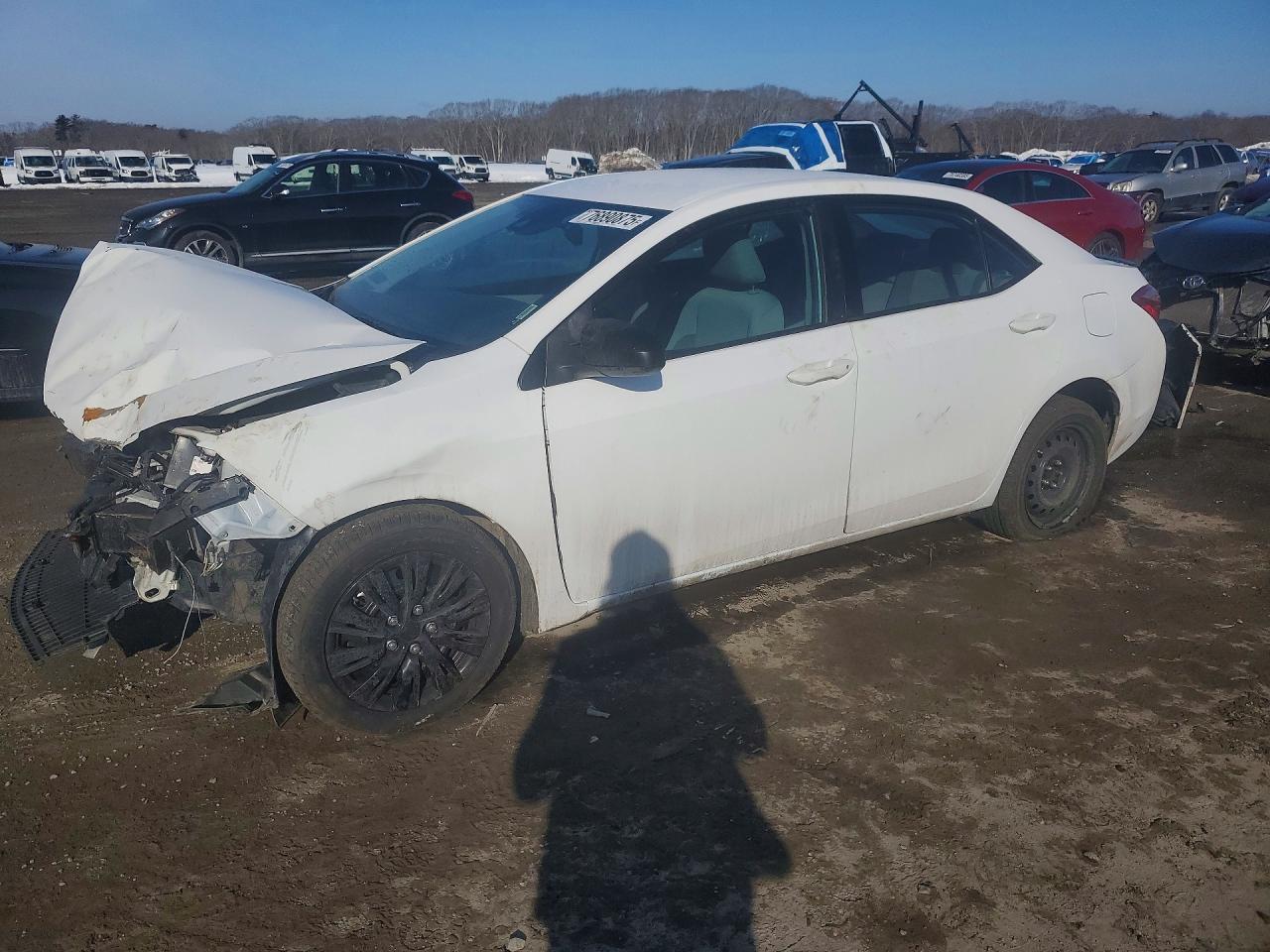 2019 TOYOTA COROLLA