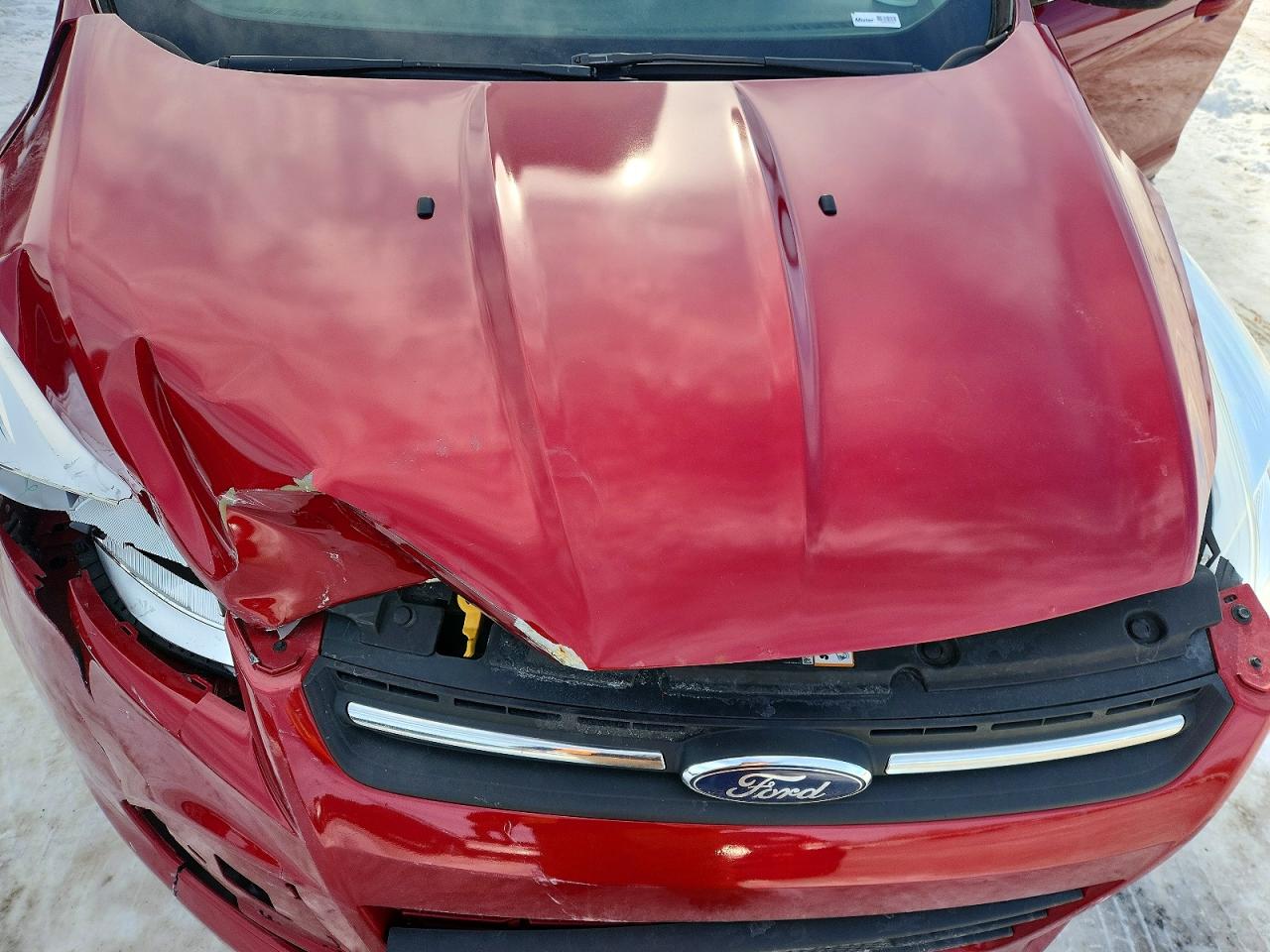 2016 FORD ESCAPE SE photo 11