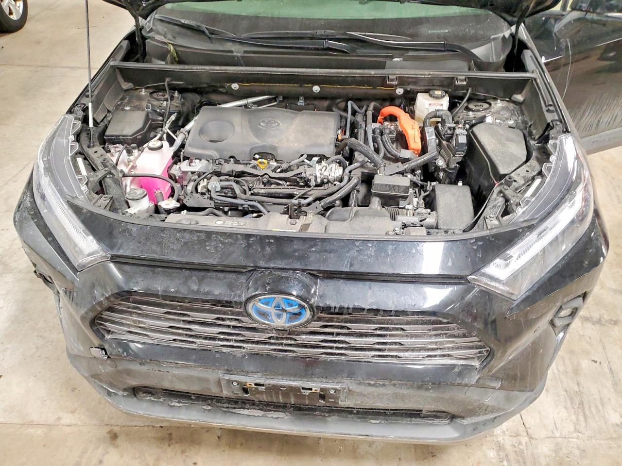 2024 TOYOTA RAV4 LIMITED photo 12