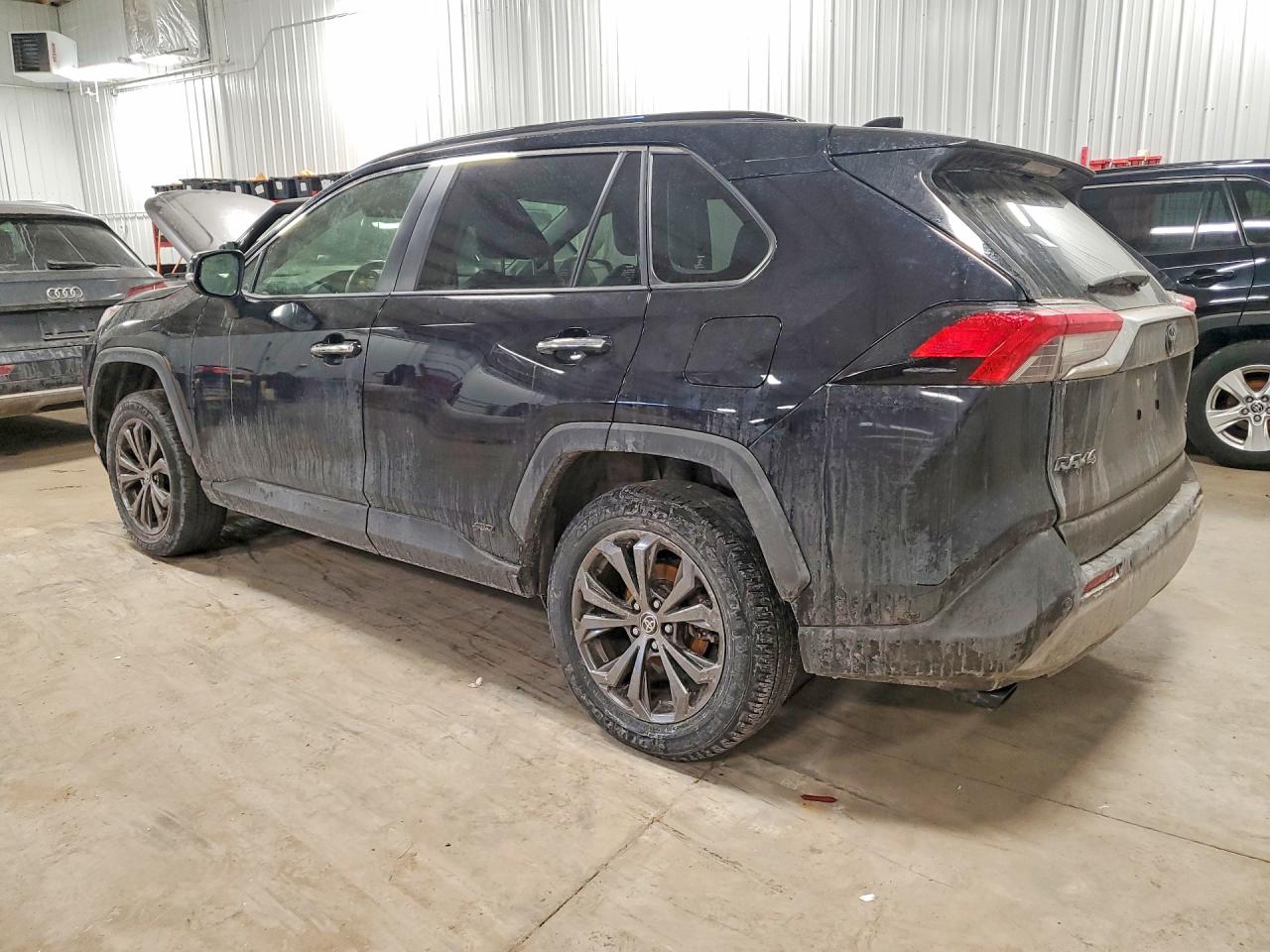 2024 TOYOTA RAV4 LIMITED photo 2