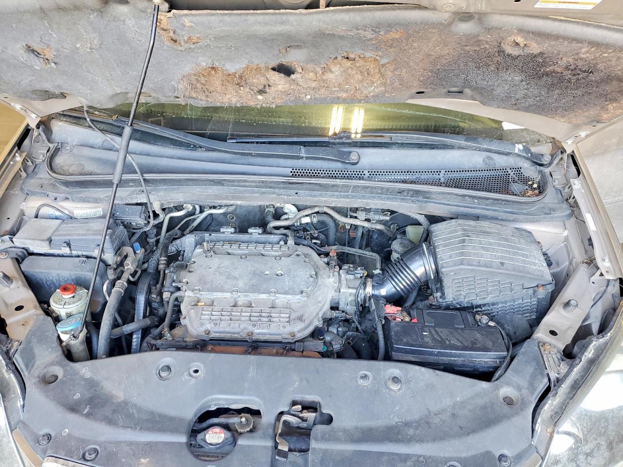 2006 HONDA ODYSSEY EXL photo 23
