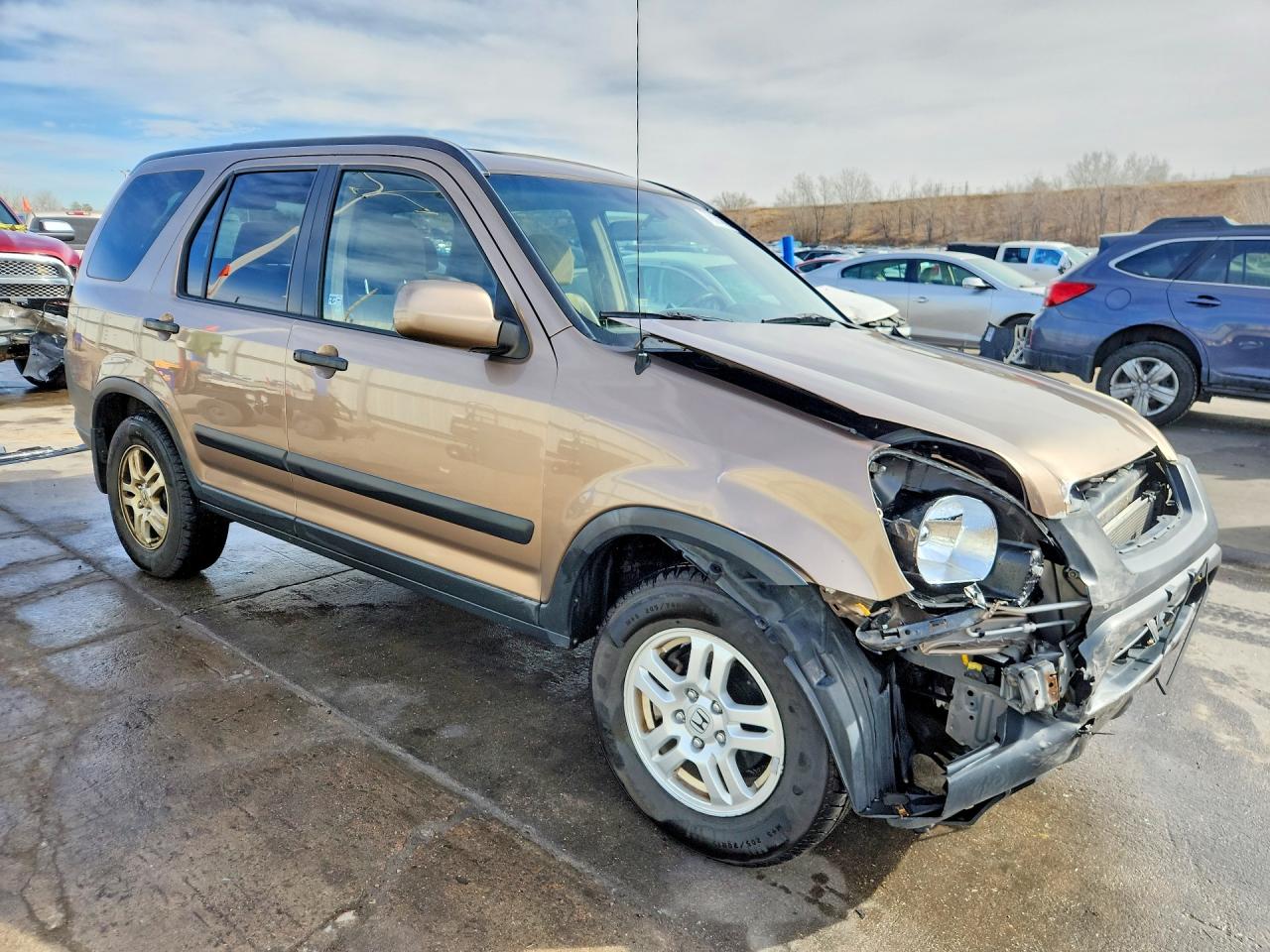 2003 HONDA CR-V EX photo 4