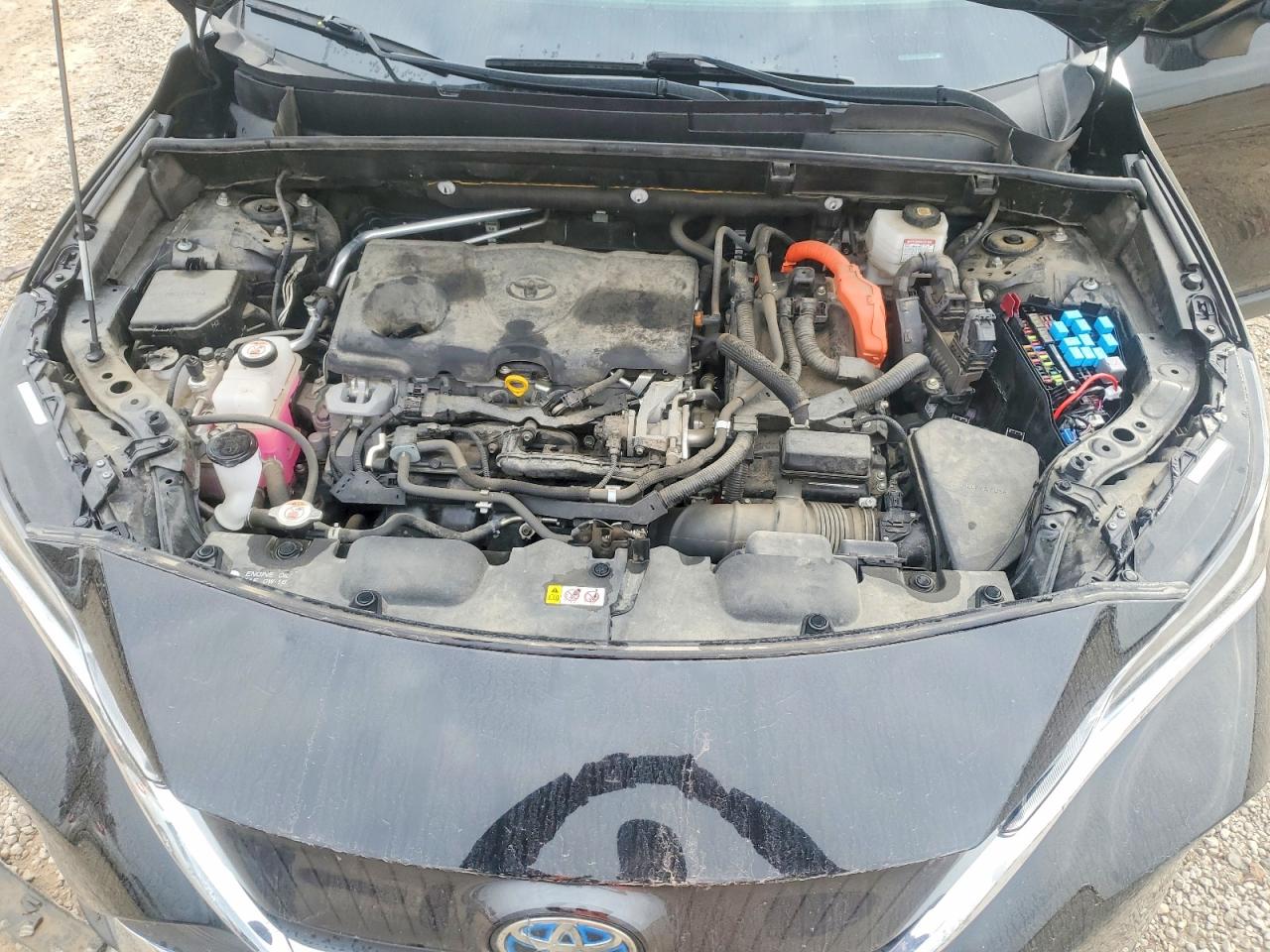 2021 TOYOTA VENZA LE photo 21