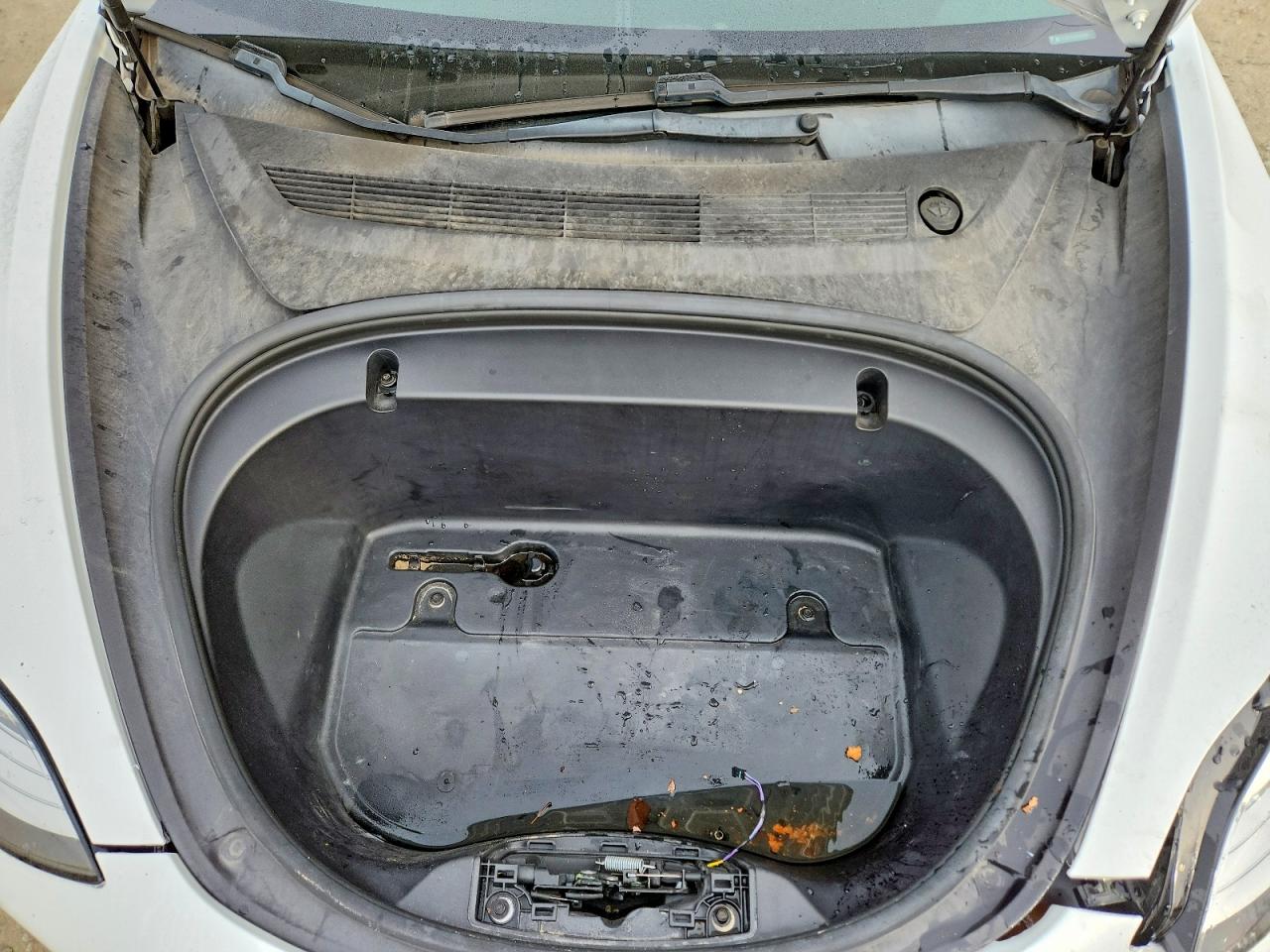 2020 TESLA MODEL 3 photo 30