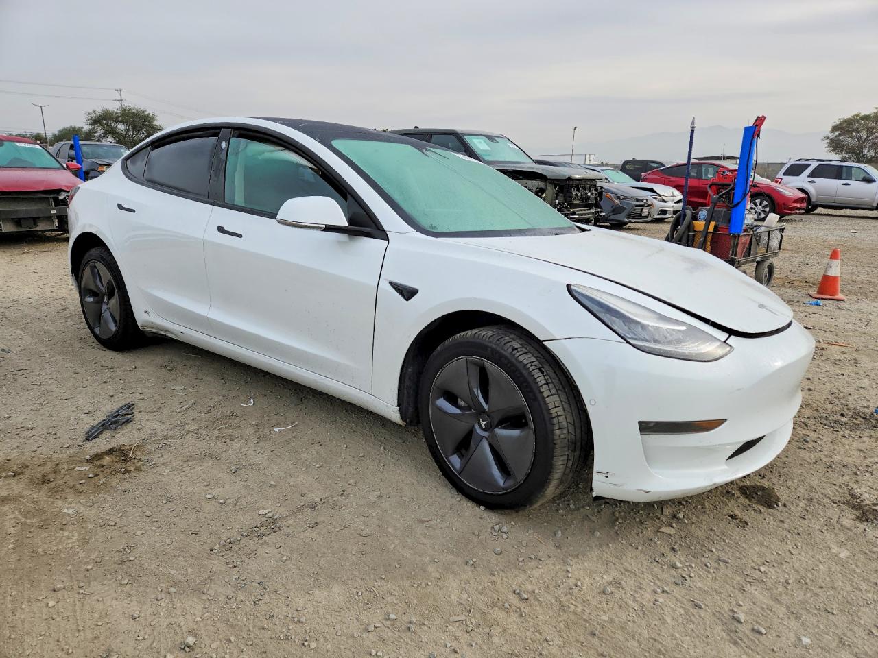 2020 TESLA MODEL 3 photo 10