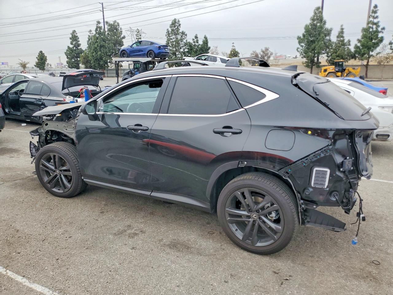 2025 LEXUS NX 450H LUXURY photo 2