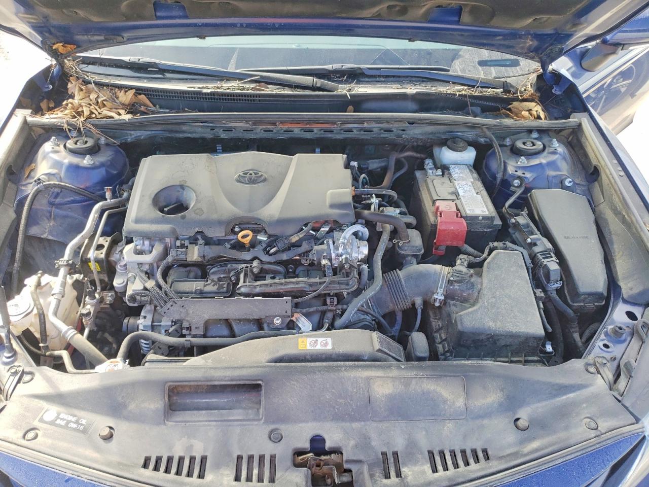 2024 TOYOTA CAMRY XLE photo 11