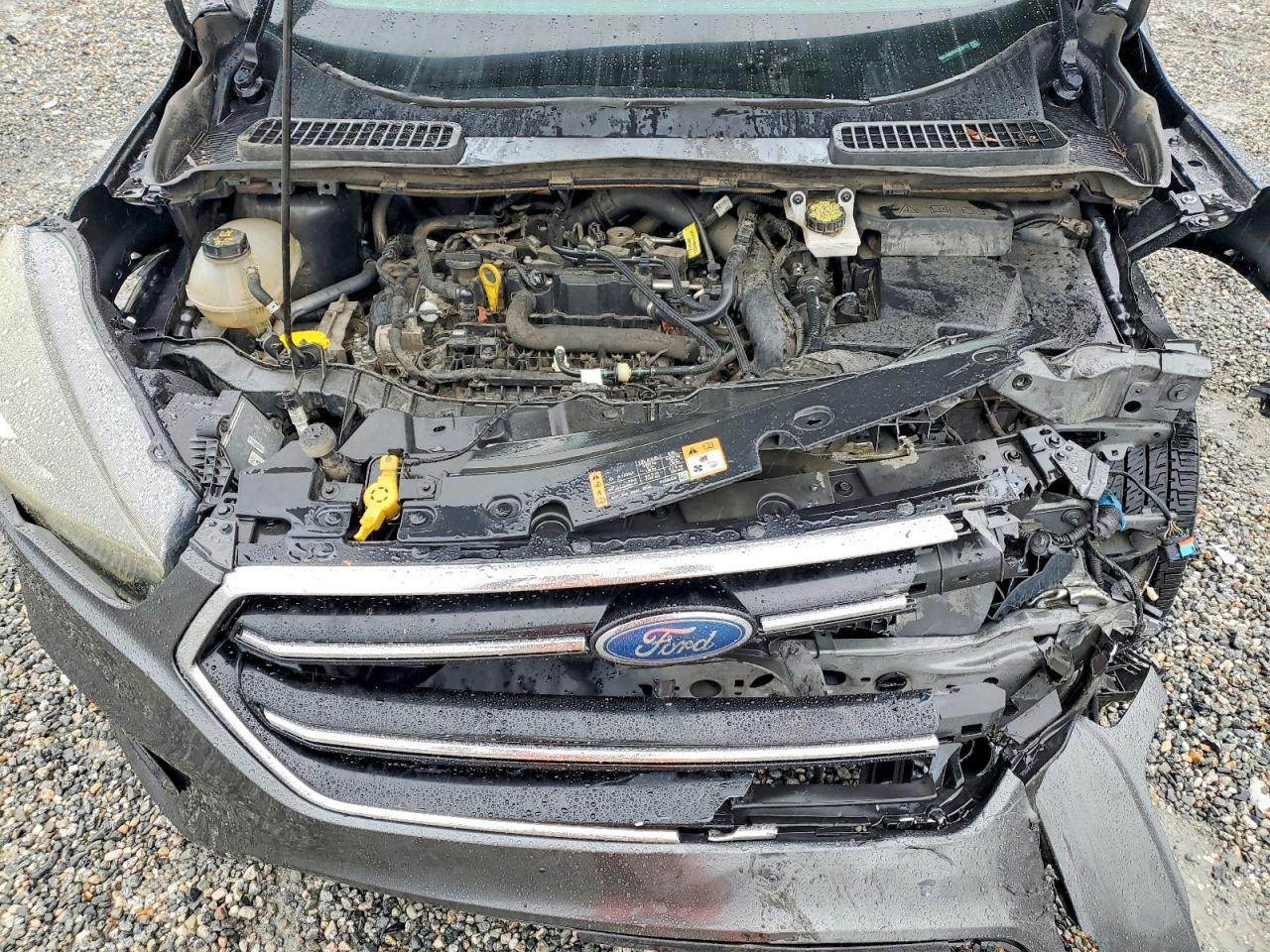 2019 FORD ESCAPE SE photo 12