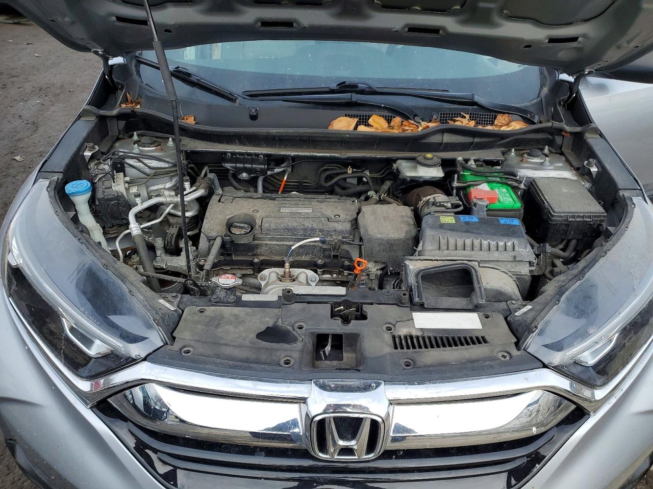 2018 HONDA CR-V LX photo 12