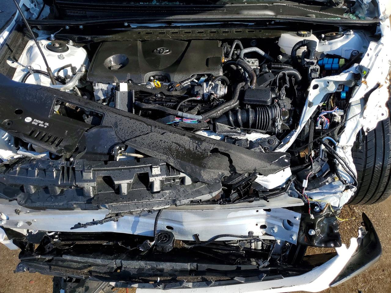 2025 TOYOTA CAMRY SE photo 11