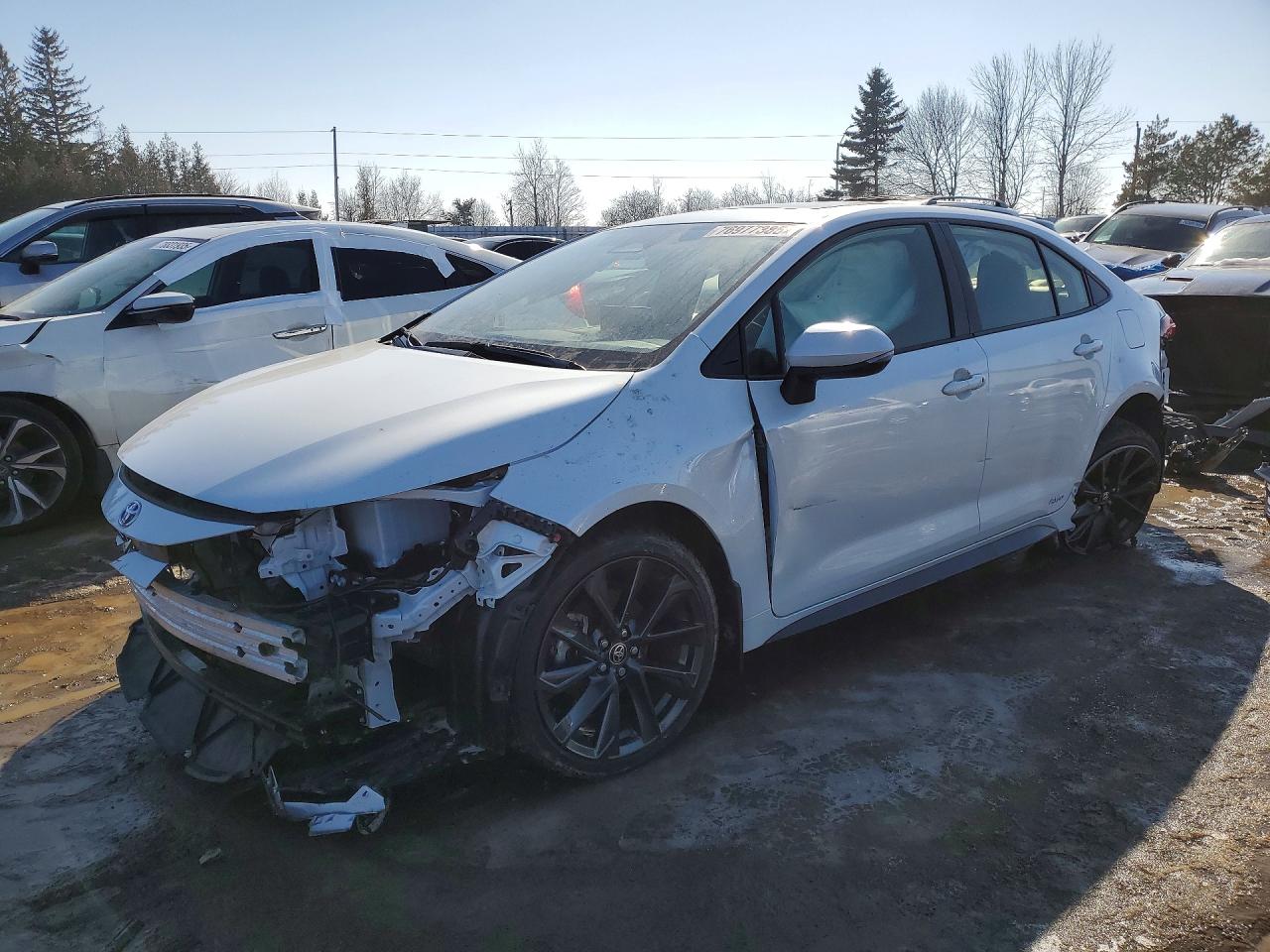 2025 TOYOTA COROLLA