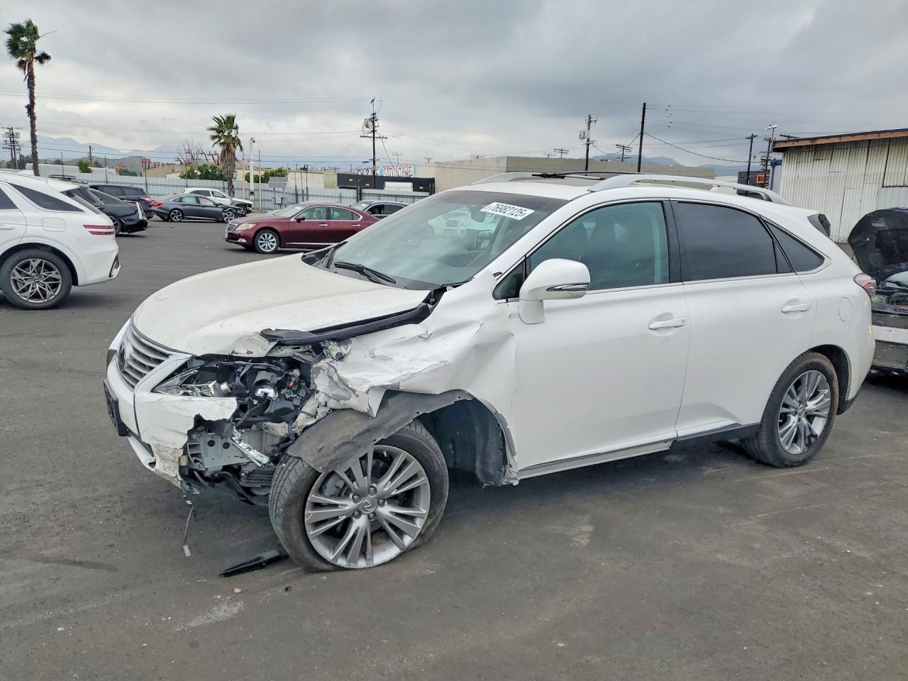 2013 LEXUS RX