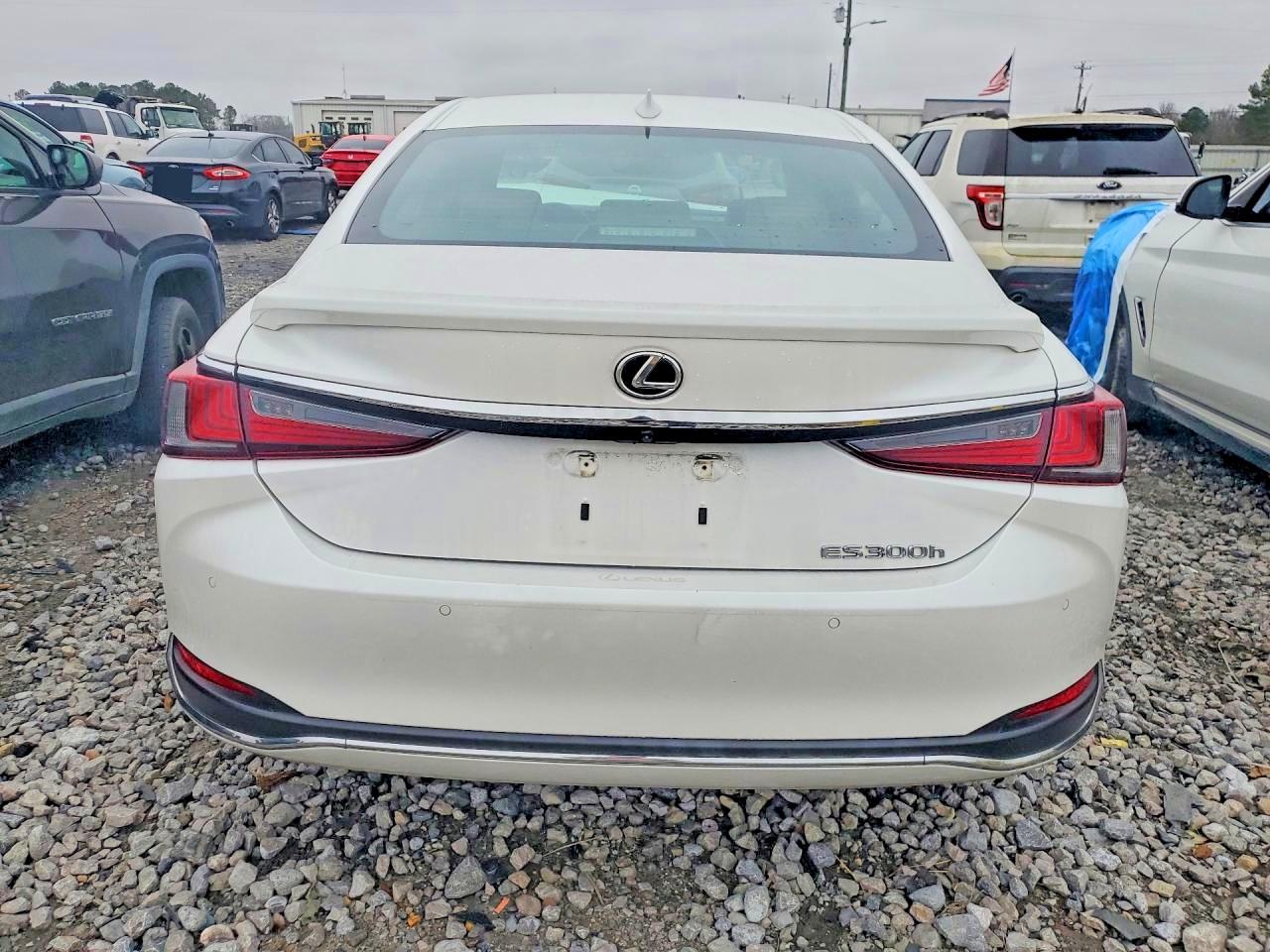 2024 LEXUS ES 300H BASE photo 6