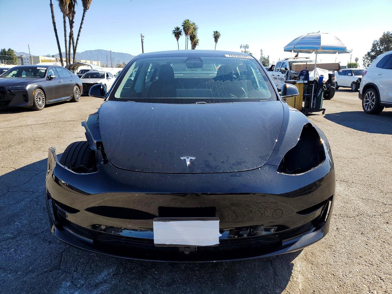 2021 TESLA MODEL 3 photo 9