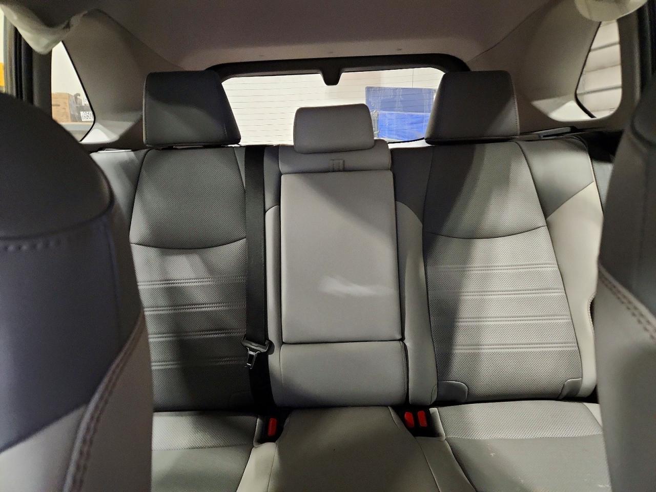 2019 TOYOTA RAV4 LIMITED photo 19
