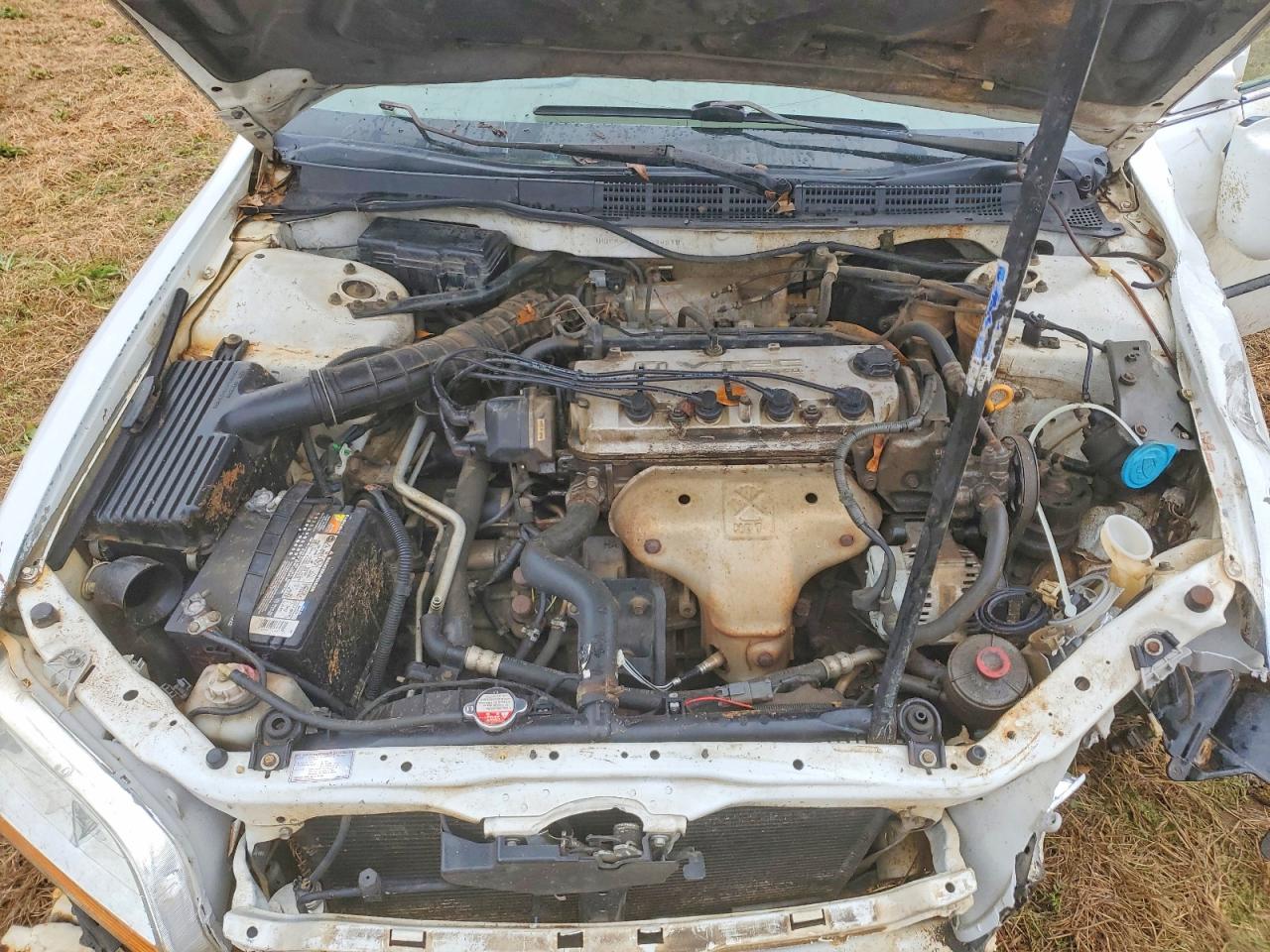 1999 HONDA ACCORD LX photo 11
