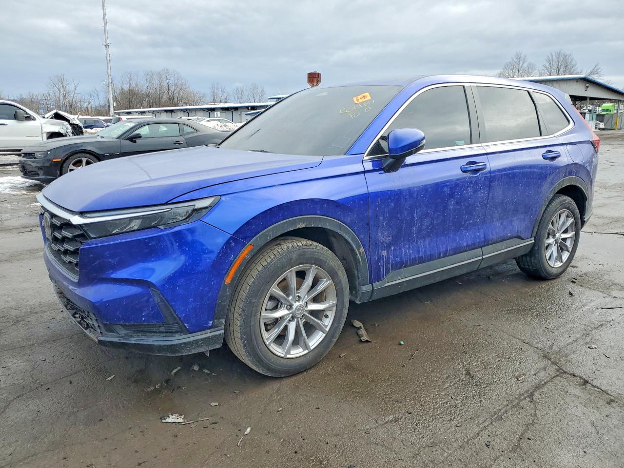 2024 HONDA CR-V