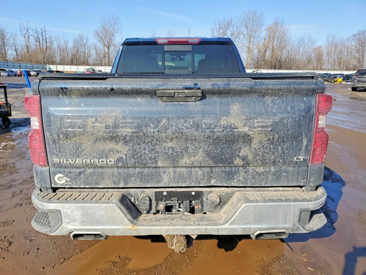 2020 CHEVROLET SILVERADO K1500 LT photo 6