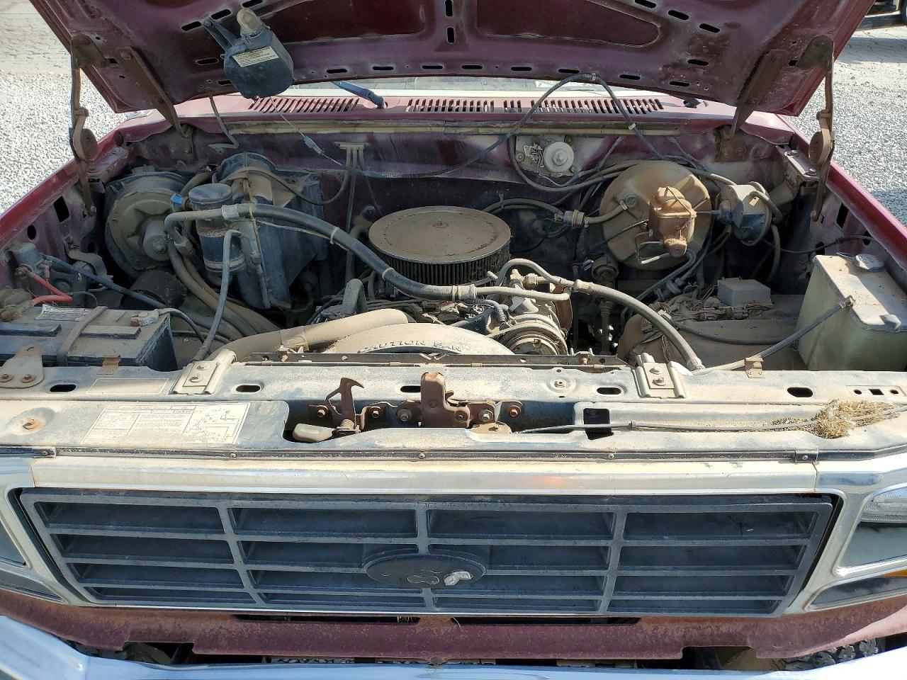 1982 FORD BRONCO U100 photo 11