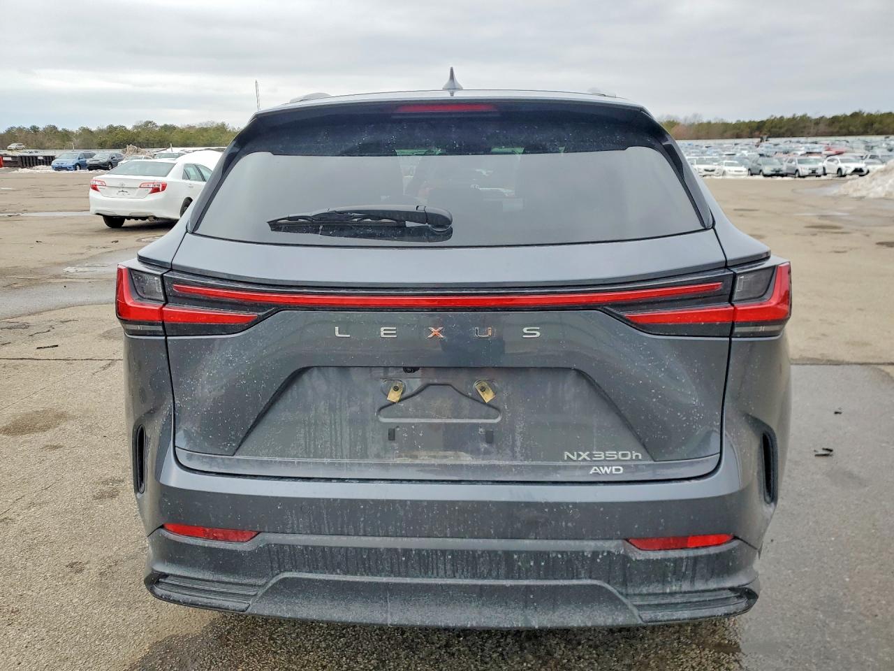 2024 LEXUS NX 350H BASE photo 6
