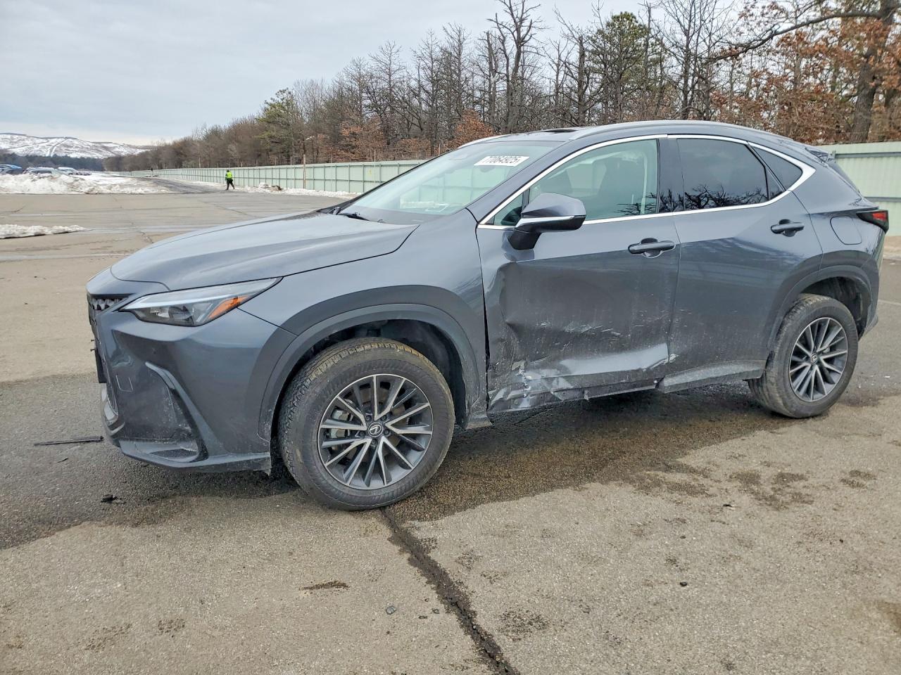 2024 LEXUS NX