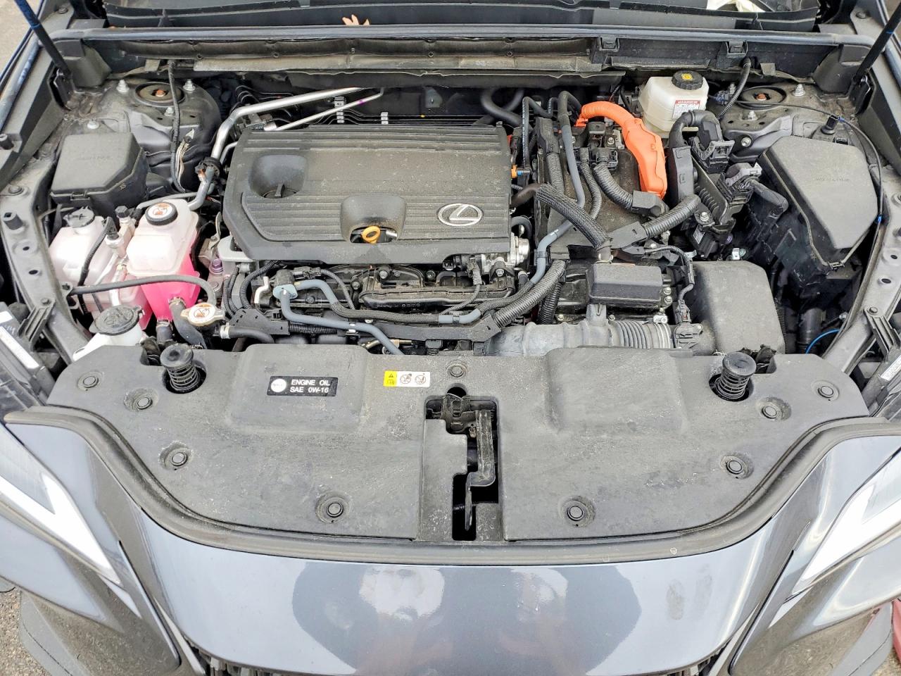 2024 LEXUS NX 350H BASE photo 12