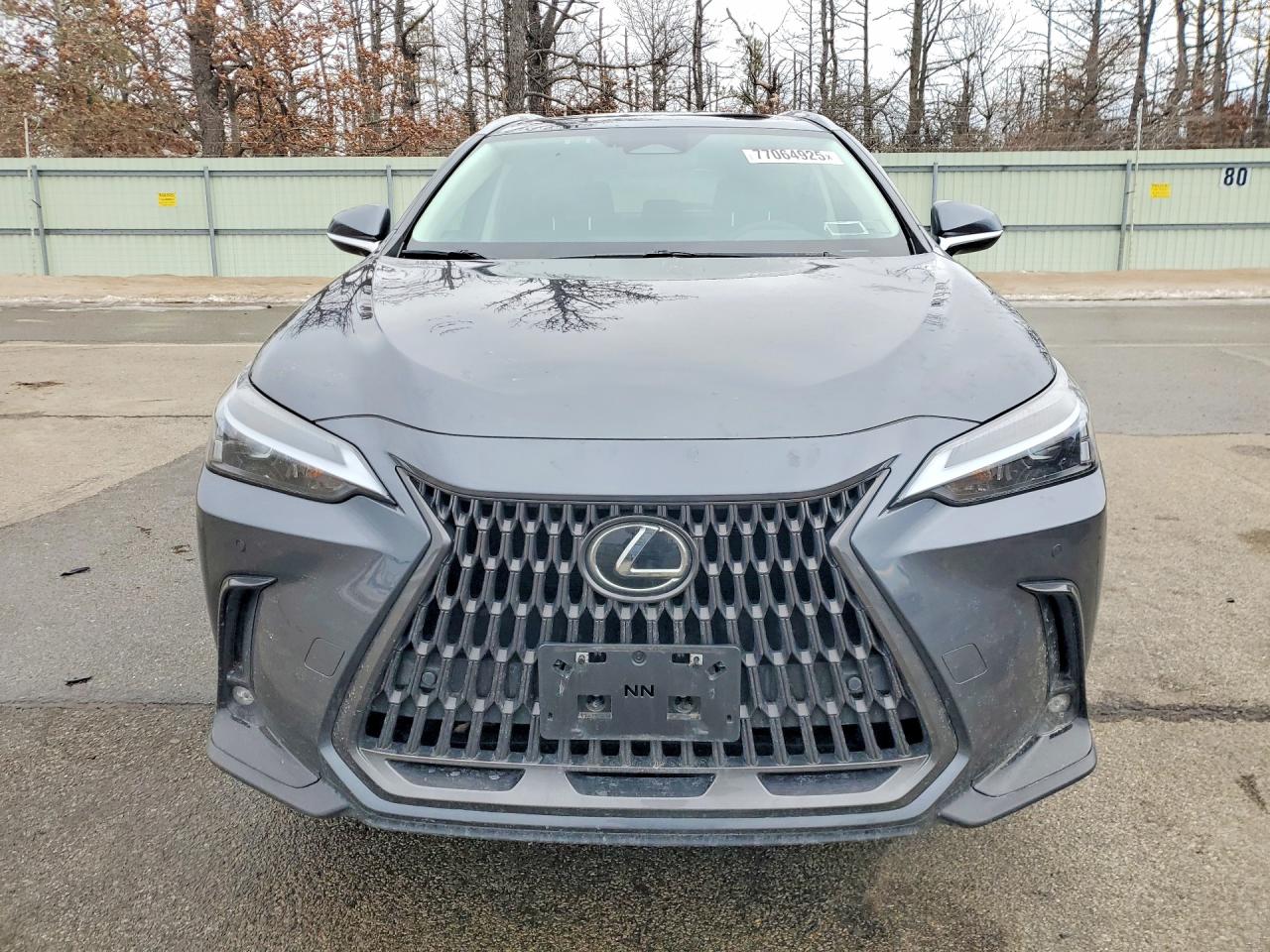2024 LEXUS NX 350H BASE photo 5