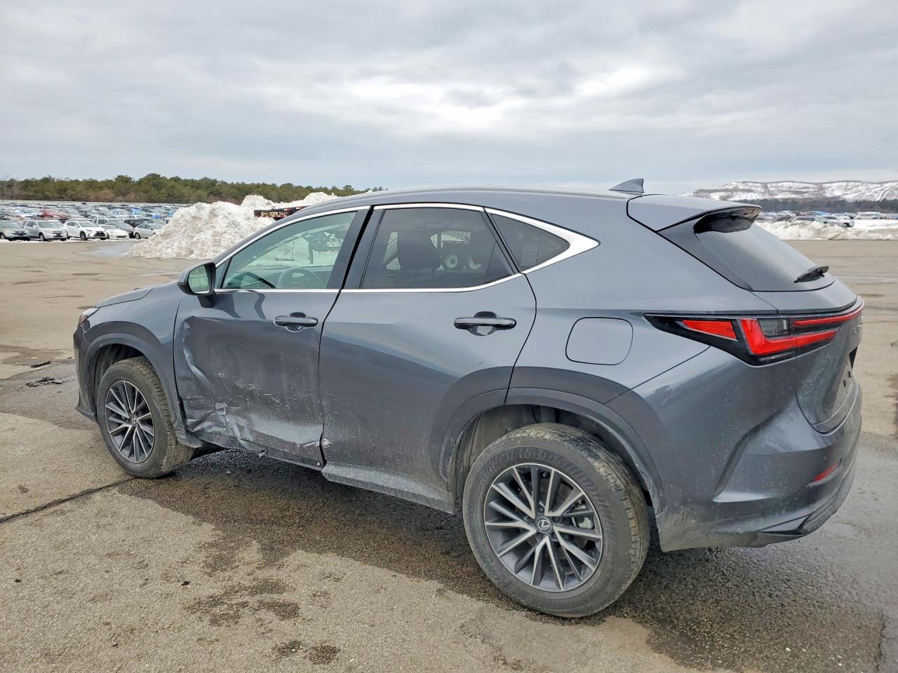 2024 LEXUS NX 350H BASE photo 2