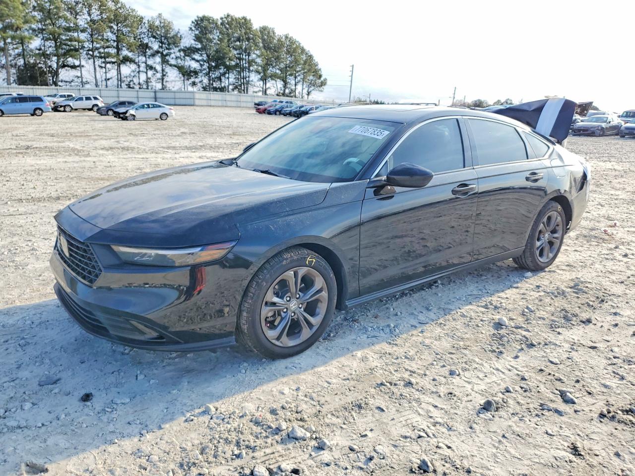 2024 HONDA ACCORD