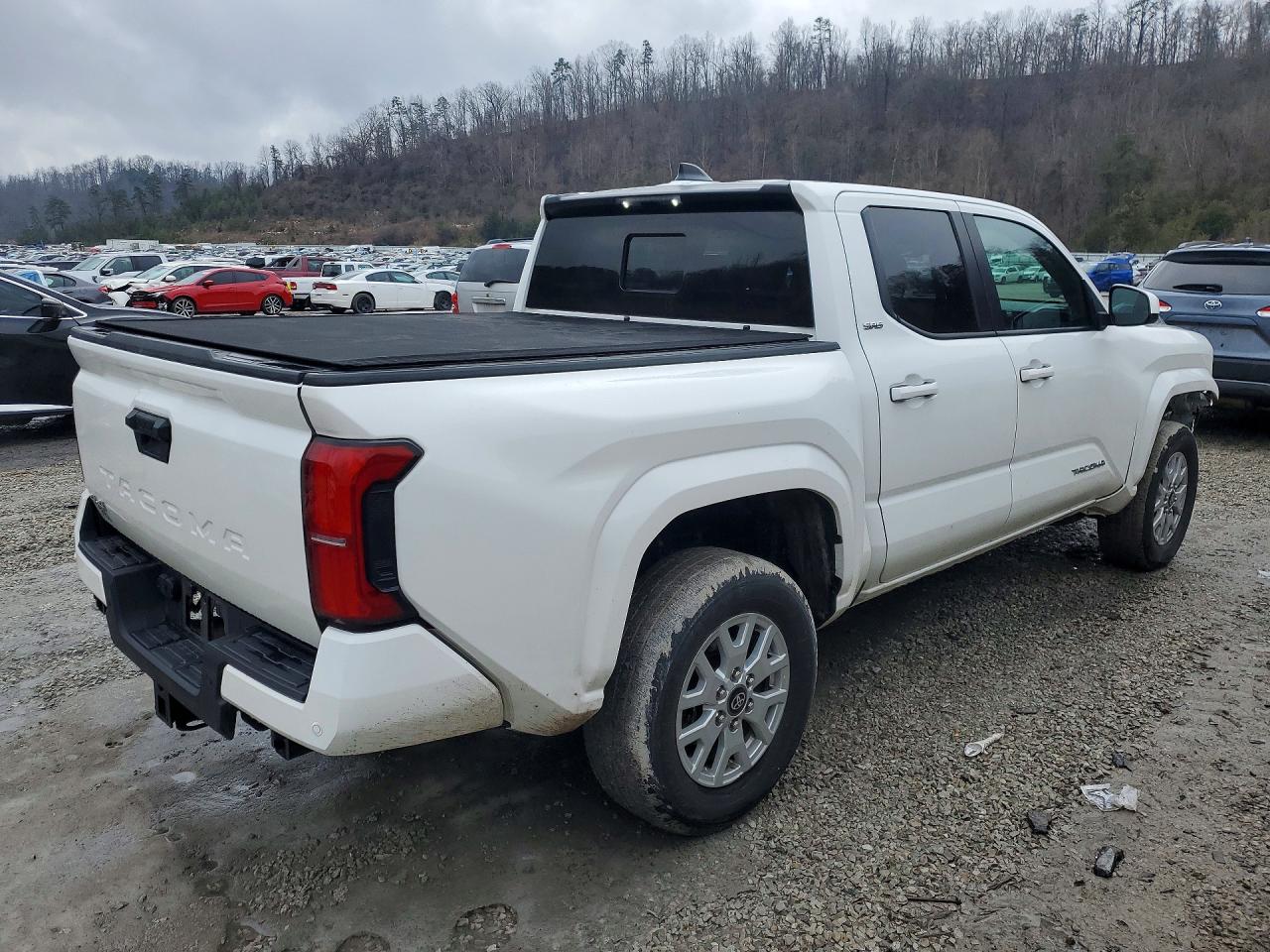 2024 TOYOTA TACOMA photo 3