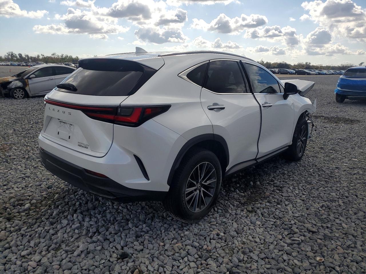 2022 LEXUS NX 250 photo 5