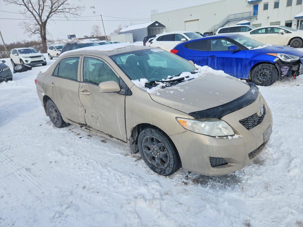 2010 TOYOTA COROLLA BASE photo 4