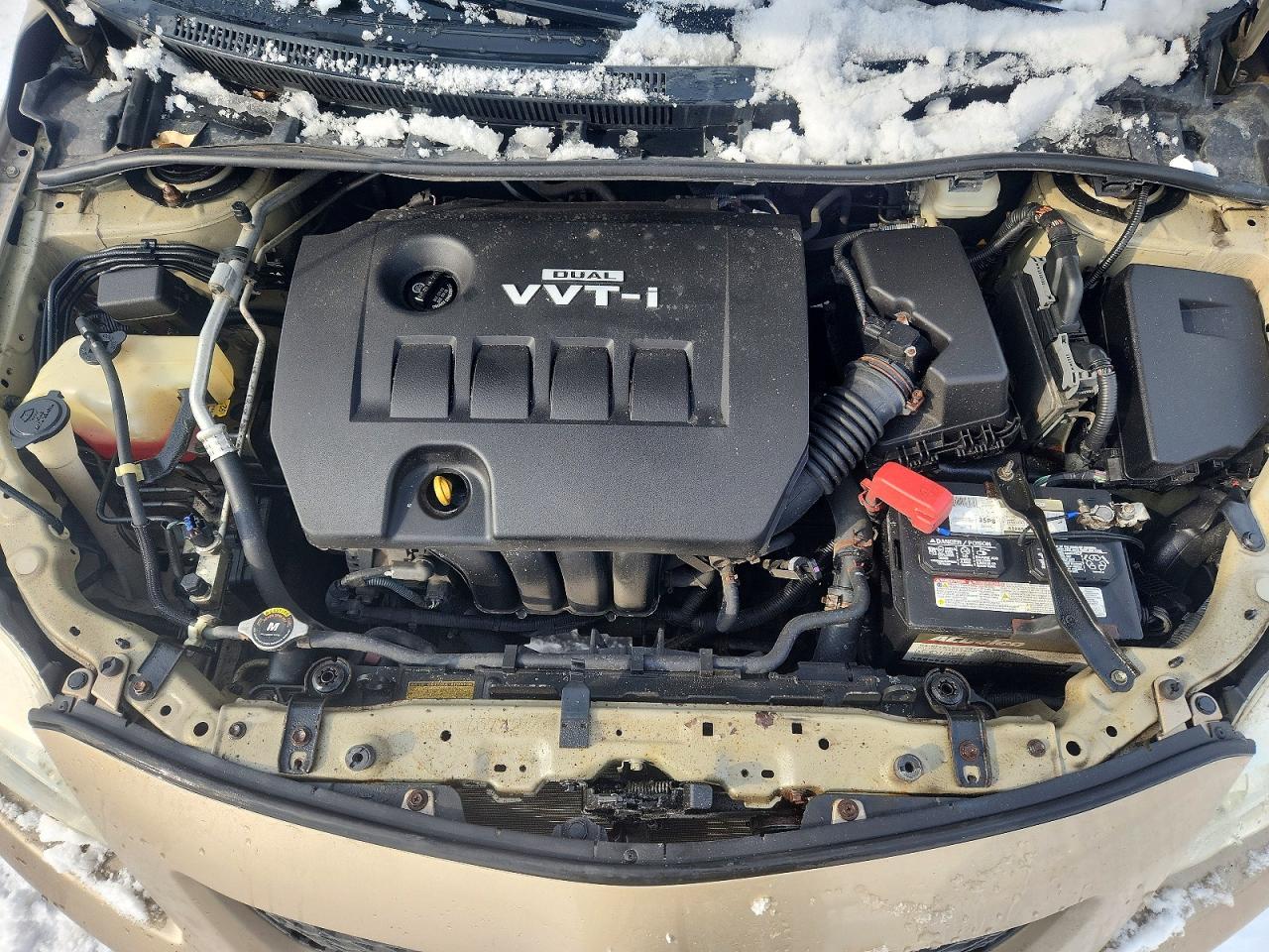 2010 TOYOTA COROLLA BASE photo 11
