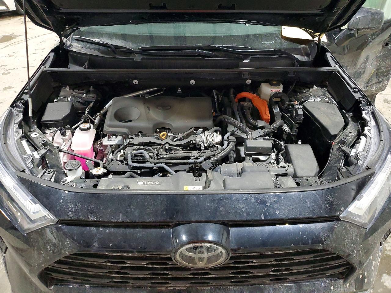 2025 TOYOTA RAV4 LE photo 34