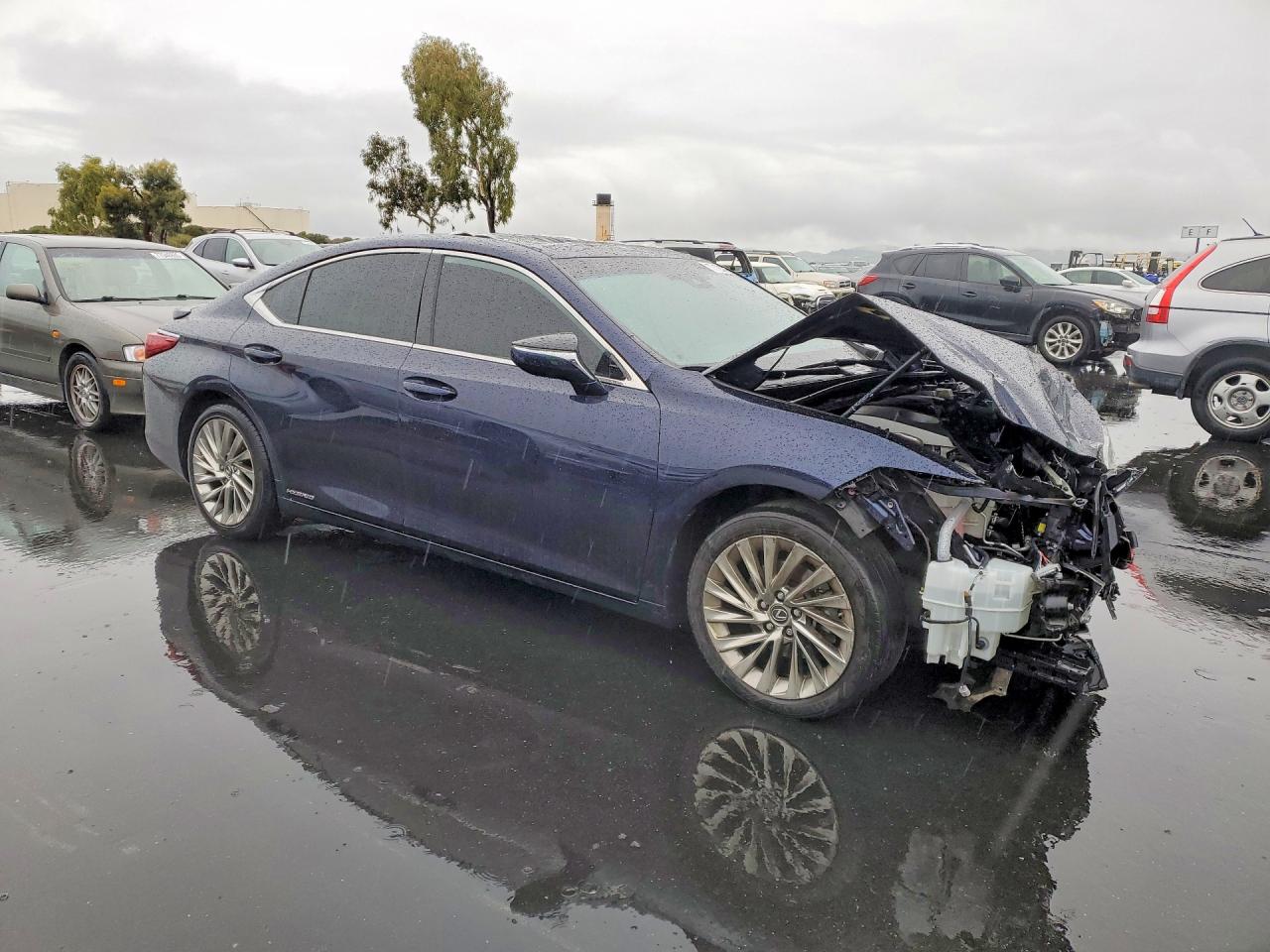 2019 LEXUS ES photo 7