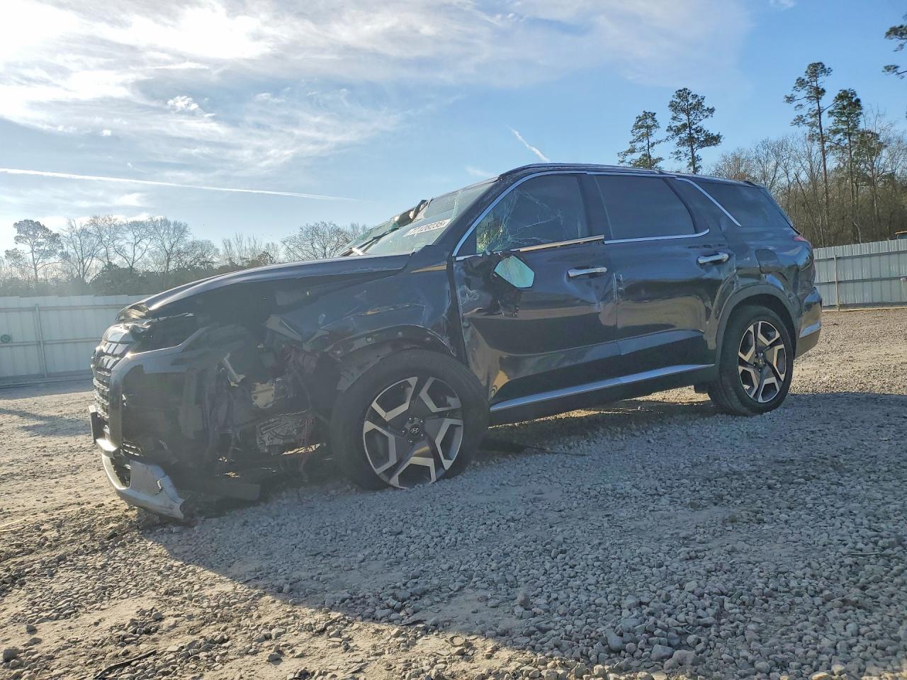2024 HYUNDAI PALISADE