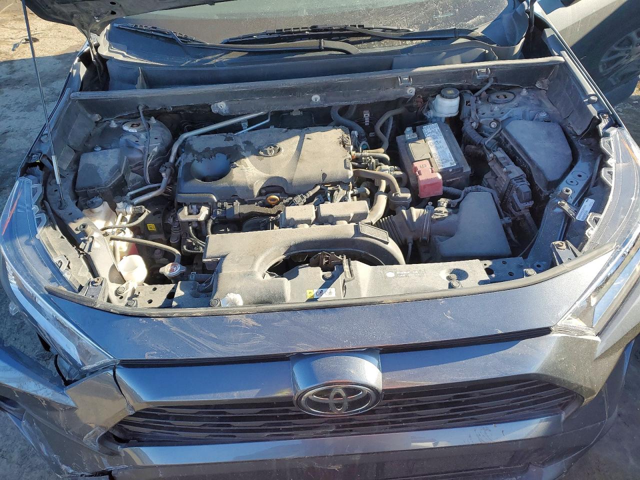 2019 TOYOTA RAV4 XLE photo 12